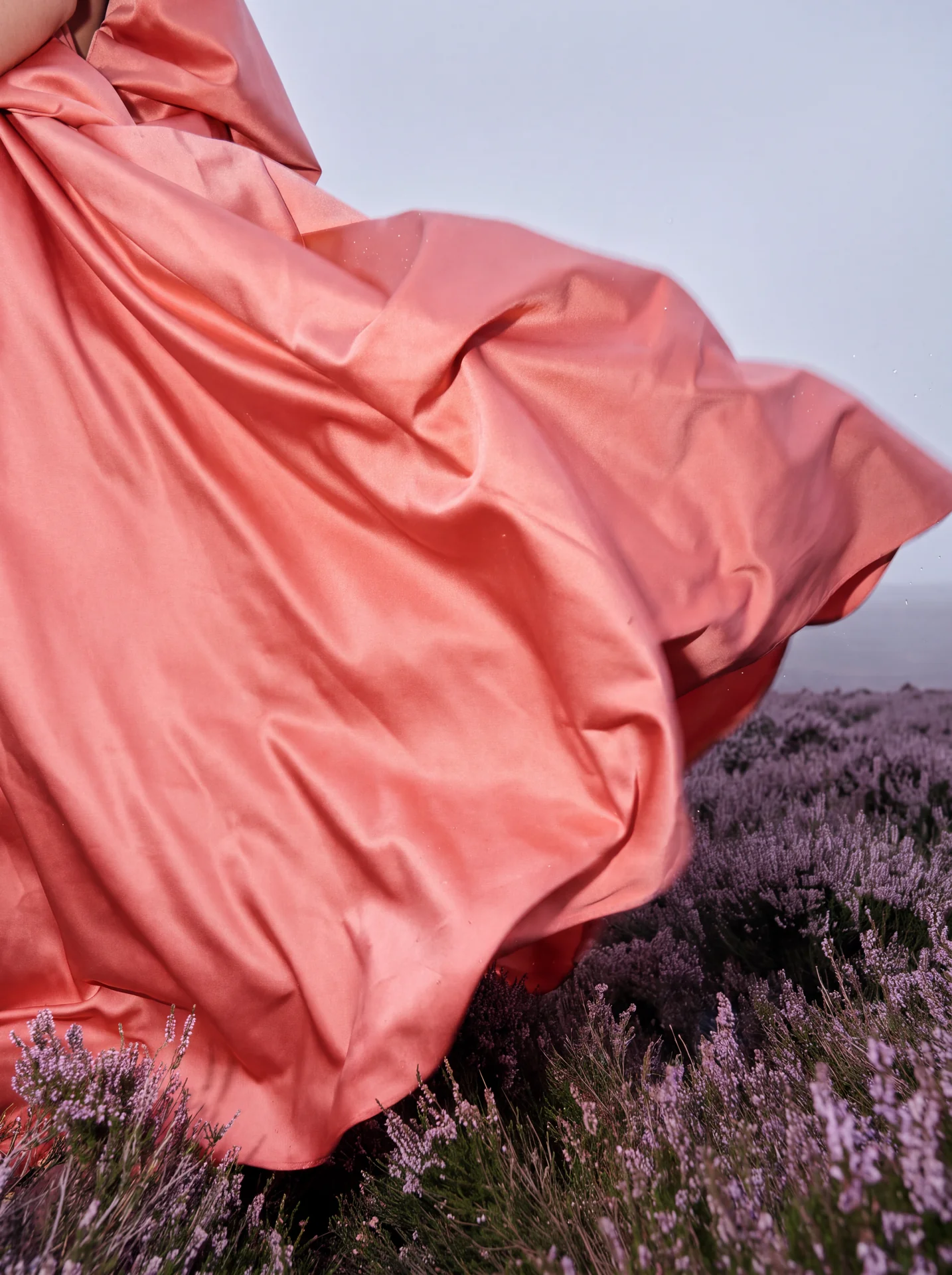 Pink dress fabric catching the wind over purple heather, detail
