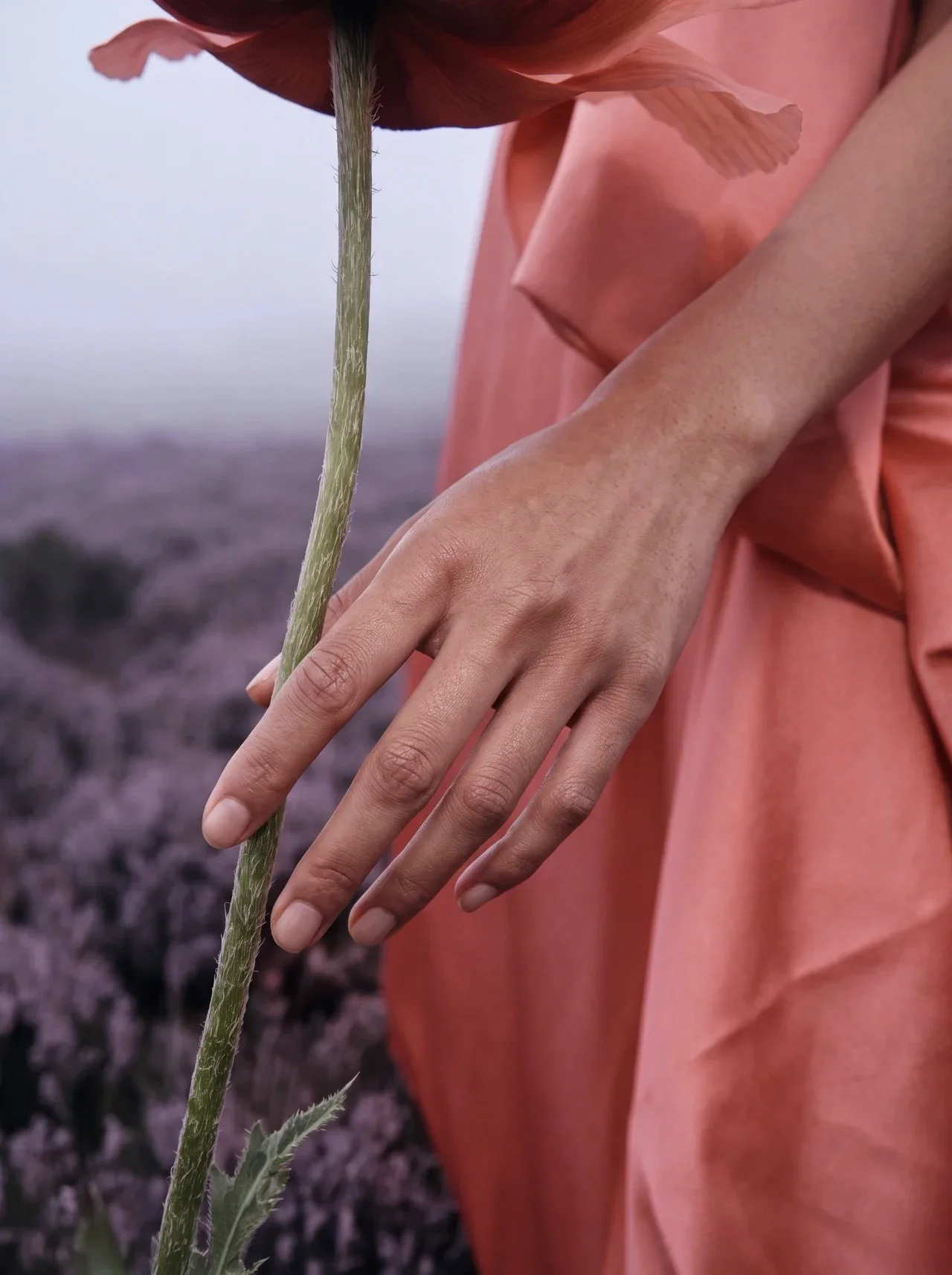 Hand brushing an oversized poppy stem, pink dress detail